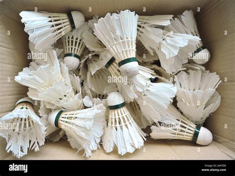 Used Badminton Shuttlecocks Stock Photo - Alamy