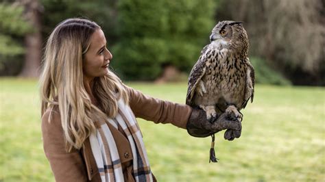 Falconry - Dalhousie Castle - Luxury Castle Hotel in Scotland