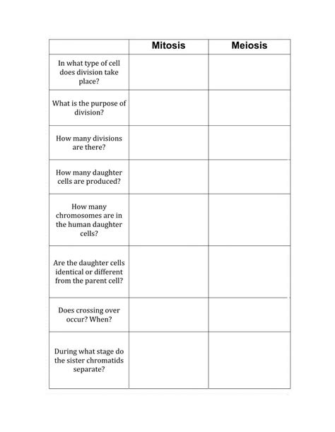 Meiosis Vs Mitosis Worksheet