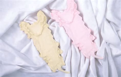 Men Femboy Bodysuit Femboy Lingerie Sissy Lingerie For Men Sheer Crossdresser Panties See