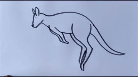 Kangaroo Jumping Drawing