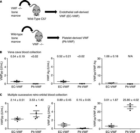 Von Willebrand Factor Propeptide To Antigen Ratio Identifies Platelet Activation And Reduced Von