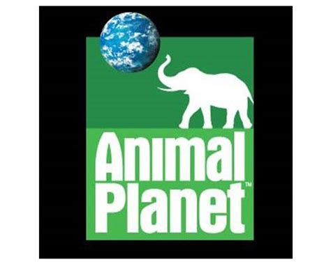 The original Animal Planet Logo : r/nostalgia