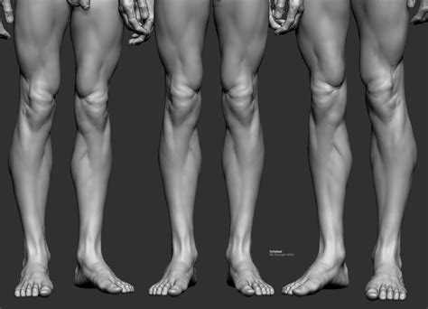 Pin By Alexandre Dumillard On Anatomy Posing Men Anatomy Poses