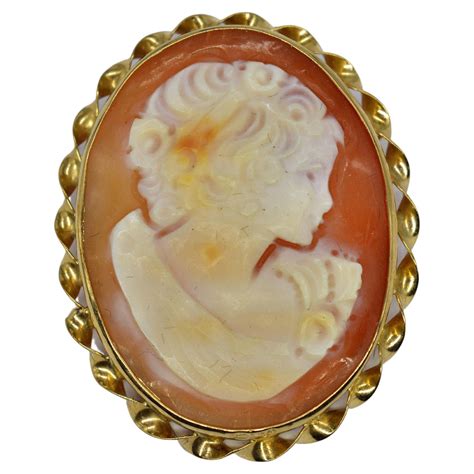 Antique Victorian Shell Cameo Brooch Hebe Feeding The Eagle Of Zeus For