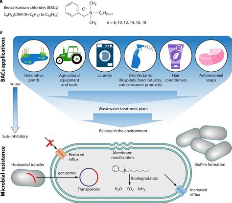 Benzalkonium Chlorides Uses Regulatory Status And Microbial