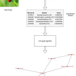 Example for LCH graphs. | Download Scientific Diagram