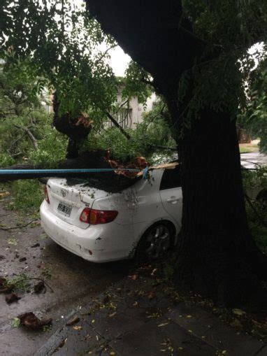 Tormenta En Capital Cayeron Rboles Un Auto Termin En El