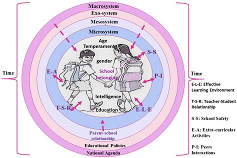 How The Bronfenbrenner Bio Ecological System Theory Explains The