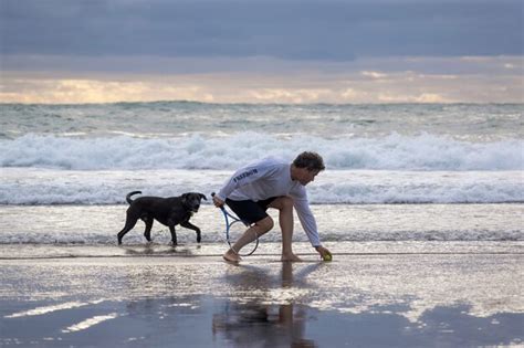 Free Photo Man With Black Dog On Piha Beach