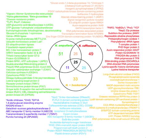 Venn Diagram Analysis Of Proteins Identified From Proteomics