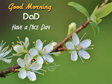 Good Morning Dad Have A Nice Day - Good Morning Wishes & Images