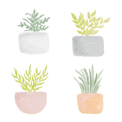 Plant Pots PNG Transparent Beautiful Watercolor Potted Plants For