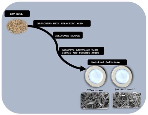 Polysaccharides Free Full Text Chemical Modification Of Cellulose Using A Green Route By