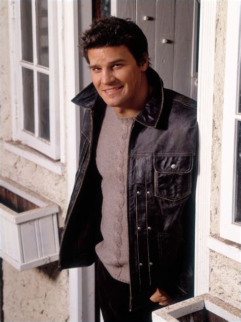 17 Best images about David Boreanaz
