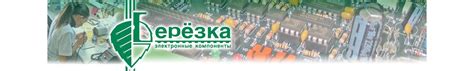 Берёзка Электронные Компоненты— разработка и поставка электронных ...