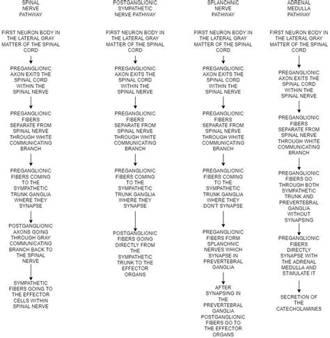 Create a flow chart for each of the four sympathetic pathway | Quizlet