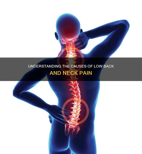 Understanding The Causes Of Low Back And Neck Pain Medshun