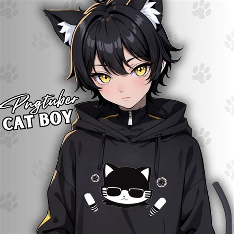 Hoodie Cat Boy PNGTUBER Premade Male Model With Dark Hair for Vtubers & Streamers Cute ...