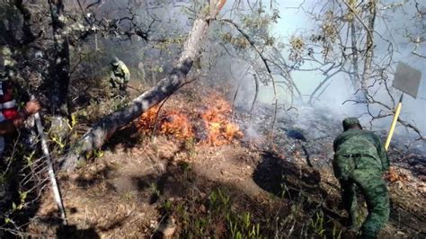 Aplica Sedena Plan Dn Iii E Por Incendio Forestal En Tlaxiaco