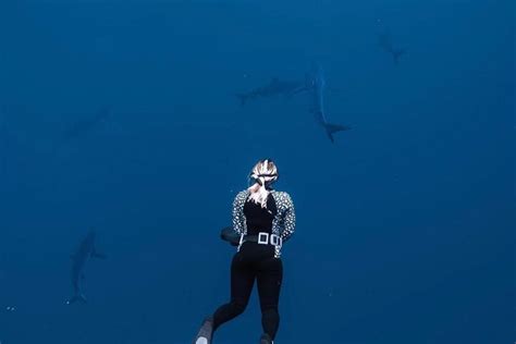 Oahu Plongée avec les requins et snorkeling à Oahu Hawaii 2024