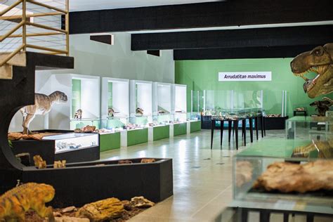 Museu De Paleontologia Prof Antonio Celso De Arruda Campos