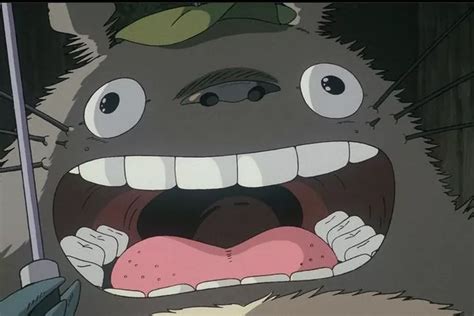 Top 5 Rekomendasi Anime Studio Ghibli Terbaik Sepanjang Masa Dari