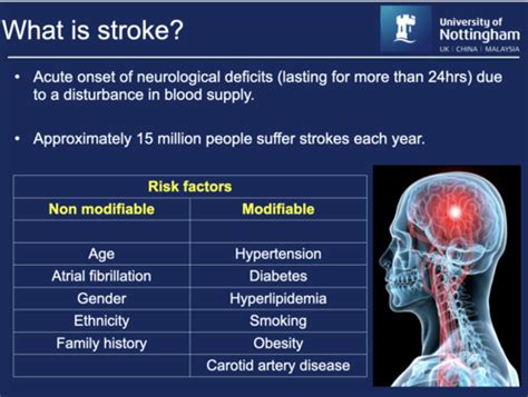 CNS 03 Stroke Flashcards Quizlet