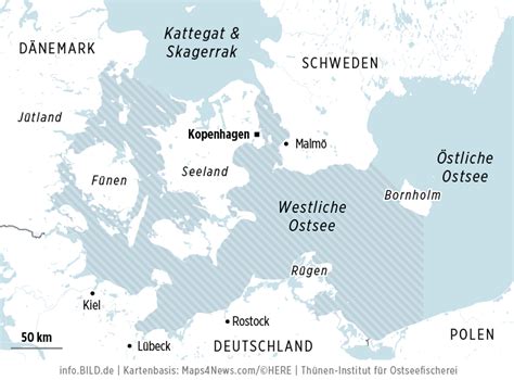 Unseri Se Ausgangsdaten Forscher Streiten Ber Unseren Ostsee Dorsch