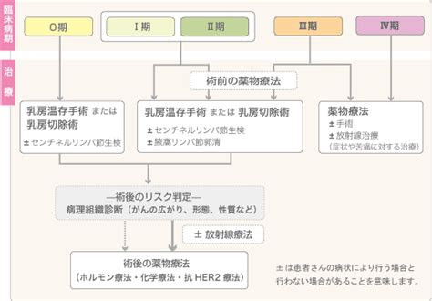 癌 ステージ1 乳がん