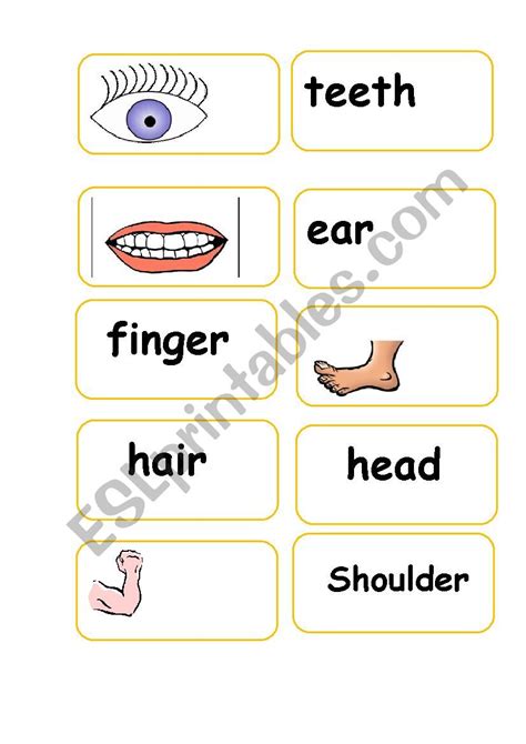 Parts Of The Body Domino Esl Worksheet By Deeo