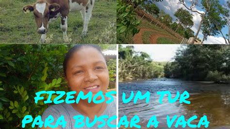 Compramos Uma Vaca E Vamos Buscar Tur Pela Estrada De Ch O Voces V O