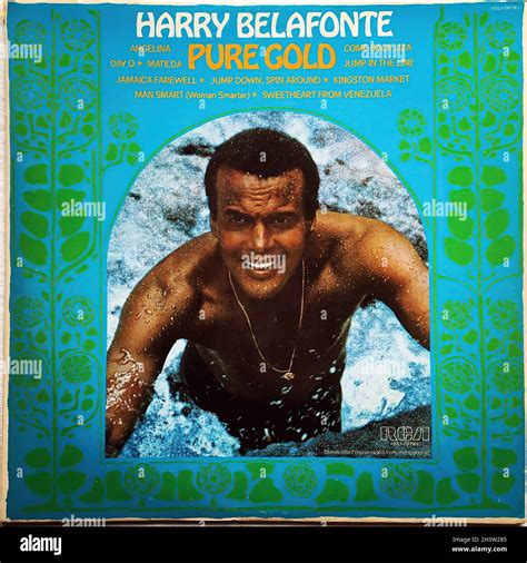 S Vintage Vinyl Lp Harry Belafonte Original Vinyl Record Stock