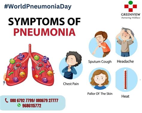 Pneumonia Symptoms | Pneumonia, Pneumonia symptoms, Pneumonia treatment