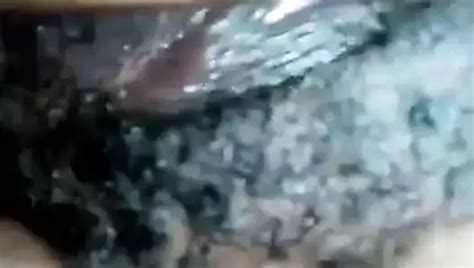 Png Kok Sucking Swallowed Cum Swallowing Blowjob Porn XHamster