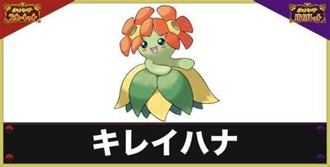 【ポケモンsv】オーダイルの進化方法と特性・色違いと種族値【スカーレットバイオレット】 アルテマ