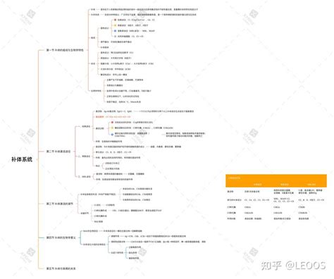 医学免疫学 思维导图（自制） 知乎