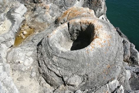 The Fossil Forest, Lulworth Cove, Dorset - www.dorsetcamper.com