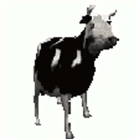 Polish Cow Polish Sticker Polish Cow Polish Cow Discover Share Gifs