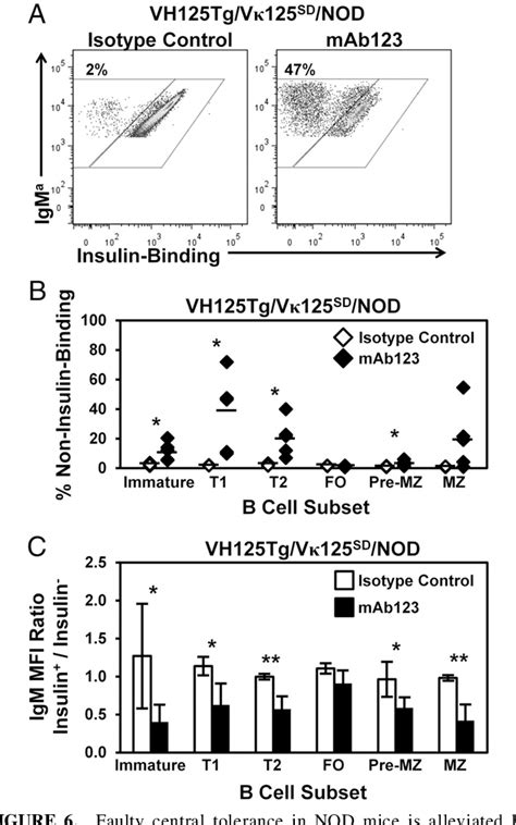 Figure 6 From Targeting Anti Insulin B Cell Receptors Improves Receptor