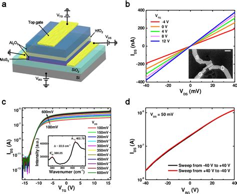 Figure 2 From Tunable Charge Trap Memory Based On Few Layer MoS2