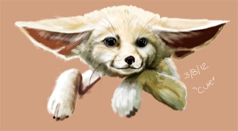 Fennec Foxes