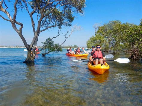 Best activities of The Gold Coast. – Kayak, SUP, Snorkel, Hire | Gold Coast