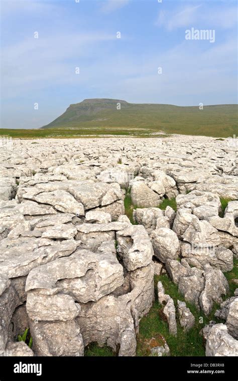 Ingleborough From White Scar Limestone Pavement North Yorkshire