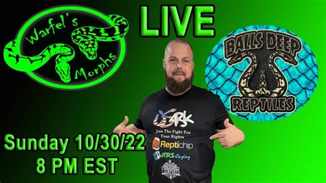 Ep Live W Chris Of Balls Deep Reptiles Talking Ball Pythons