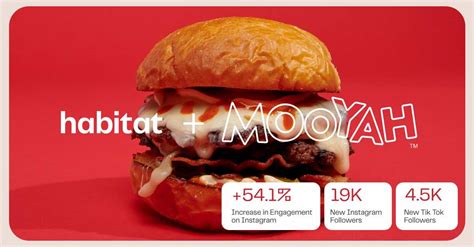 Case Study: Mooyah Burgers | Agency Habitat