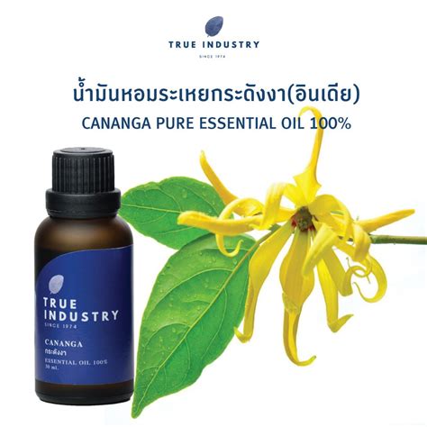 True Industry น้ำมันหอมระเหย 100 กลิ่นกระดังงาไทย Pure Cananga