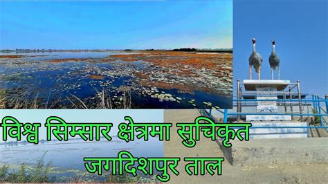 Jagdishpur Taal Kapilvastu Jagdishpur lake Nepal जगदशपर तल