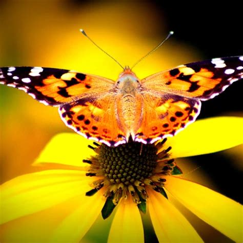 Schwarzwald Sex Klinik German Vintage Vintage Porn Xhamster