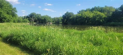 Island Park Rock Rapids Camping Larchwood Ia